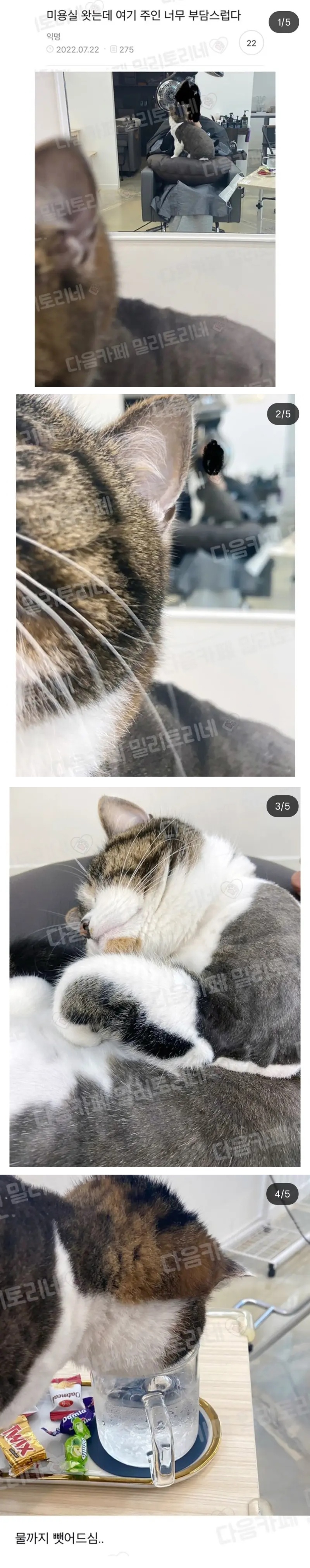 미용실 왔는데 주인이 부담스럽다 | 인스티즈