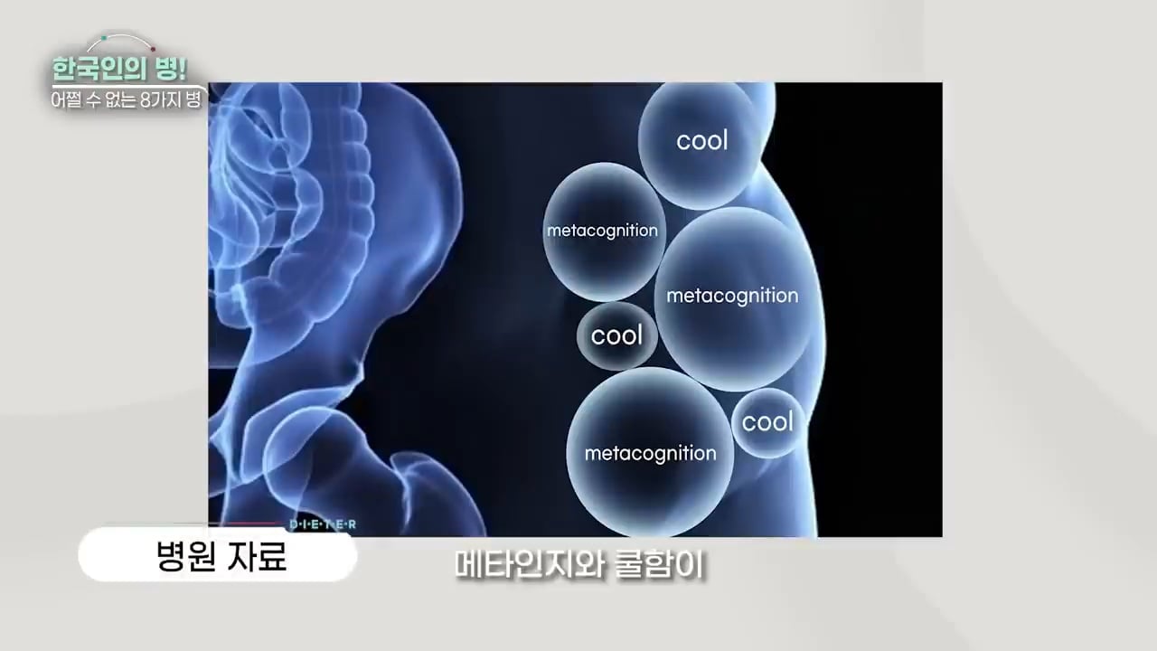한국인 병 8가지 (강유미 유튜브) | 인스티즈