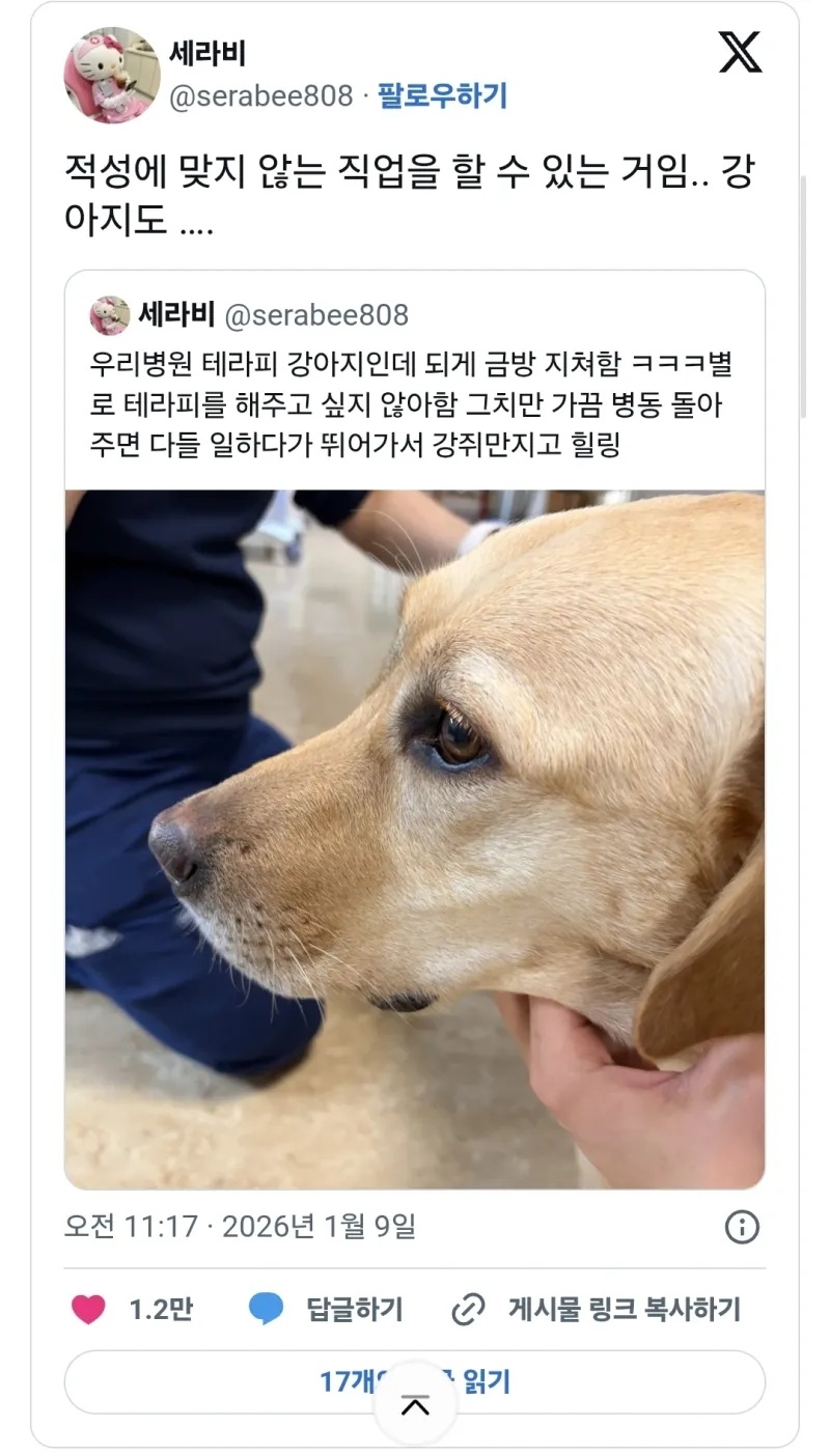 적성에 맞지 않는 직업을 할 수 있는 거임.. 강아지도 …. | 인스티즈