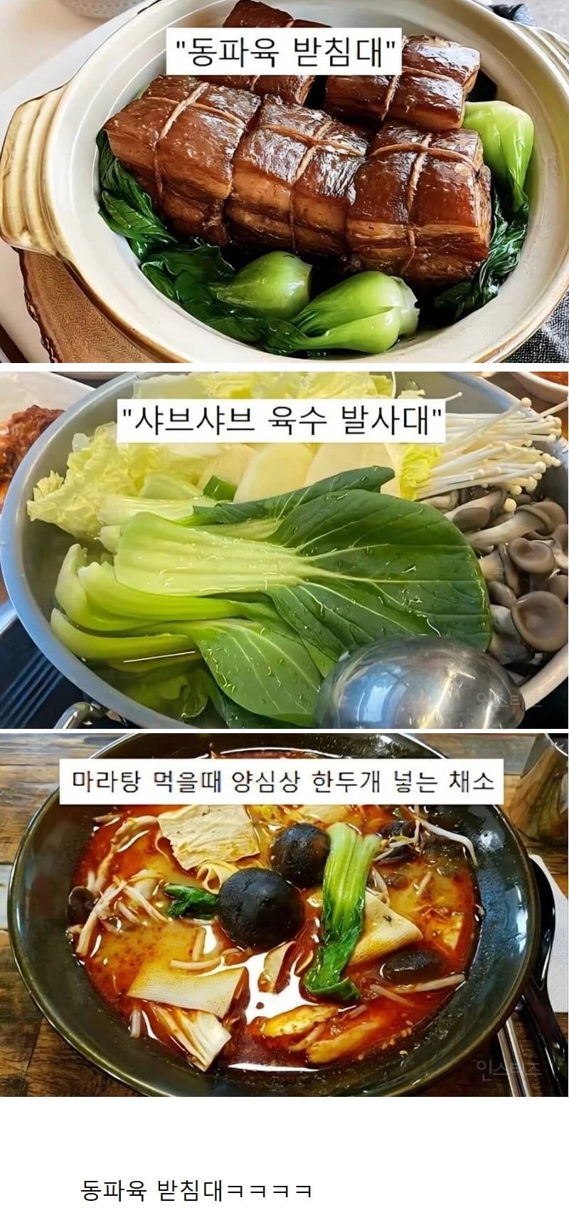 청경채의 모욕적인 별명들ㅋㅋㅋ | 인스티즈