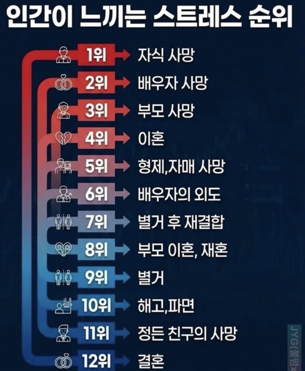 인간이 느끼는 스트레스 순위 | 인스티즈