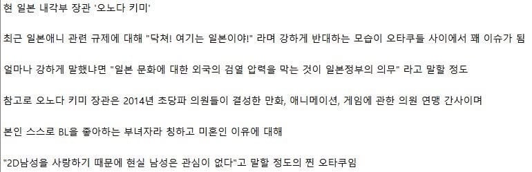 해외 오타쿠들에게 주목 받는 일본 장관 | 인스티즈