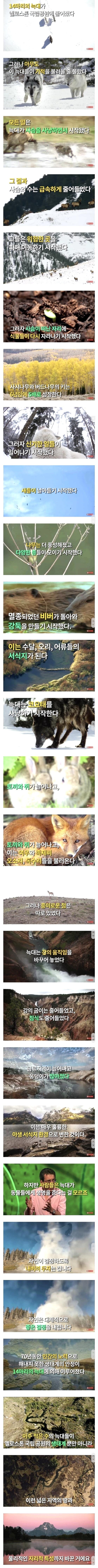 생태계 먹이사슬의 중요성 | 인스티즈
