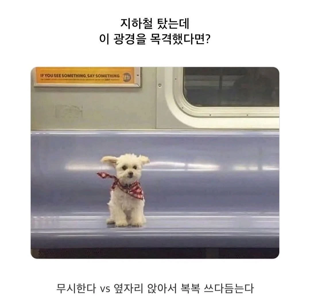 지하철 탔는데 이러면 어떡해 | 인스티즈
