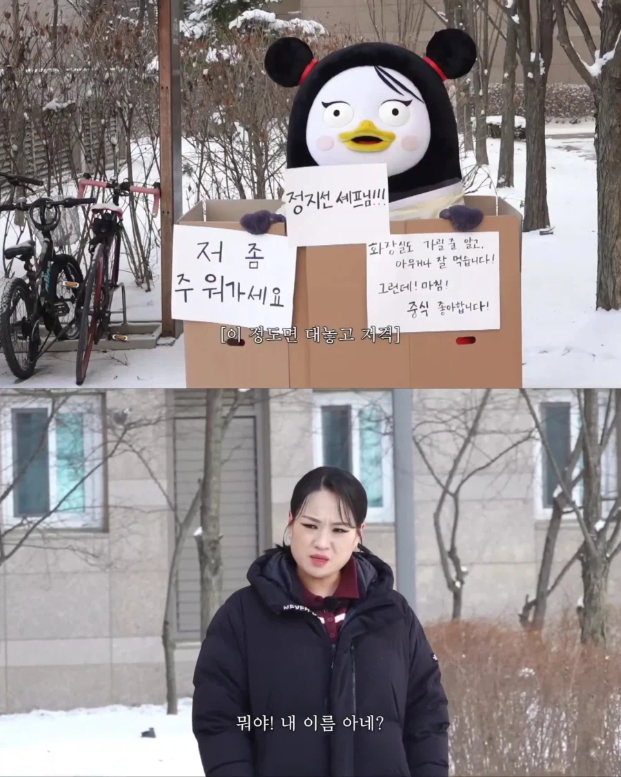 펭수가 대한민국에서 살아남은 이유 | 인스티즈