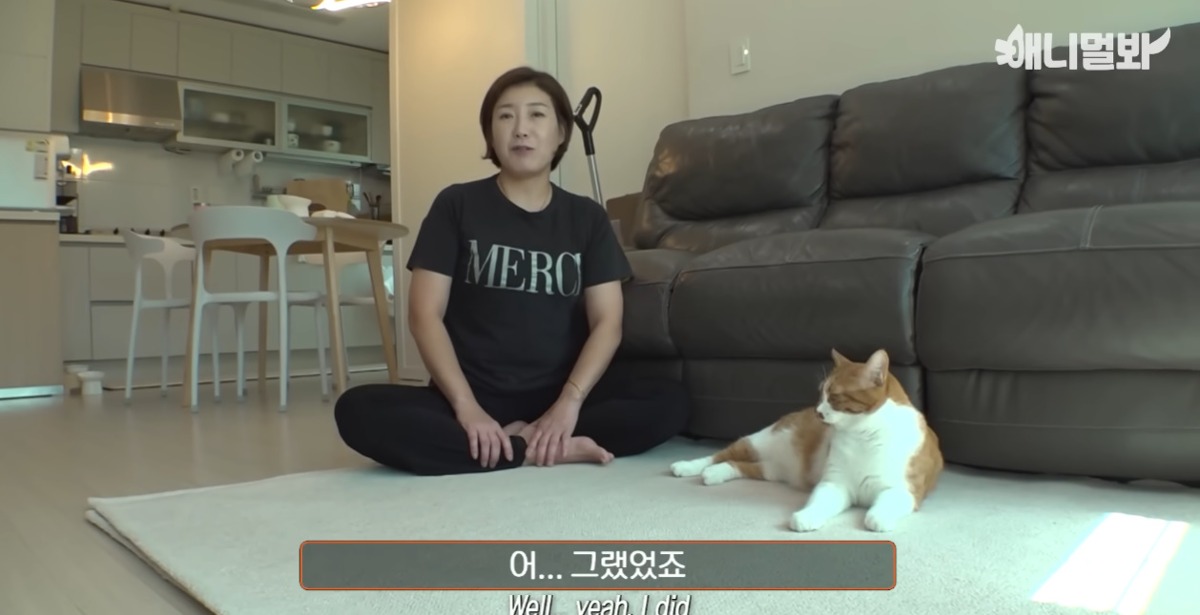 미용실 오픈런 하던 고양이의 근황 | 인스티즈