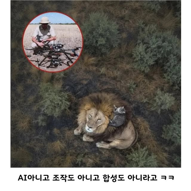 올해의 드론사진 어워드 위너 작품 | 인스티즈