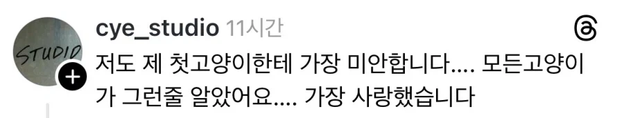 내 첫고양이는 정말 너무 착했다 | 인스티즈