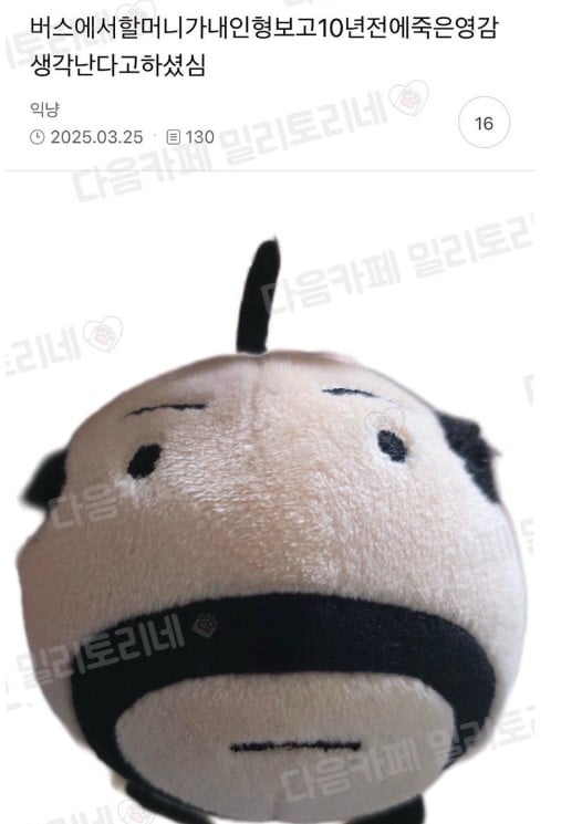버스에서 할머니가 내 인형 보고 10년 전에 죽은 영감 생각난다고 하셨음 | 인스티즈