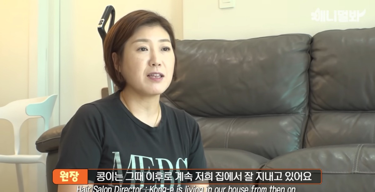 미용실 오픈런 하던 고양이의 근황 | 인스티즈