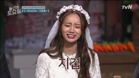업그레이드된 중국인/조선족 퇴치문구 | 인스티즈