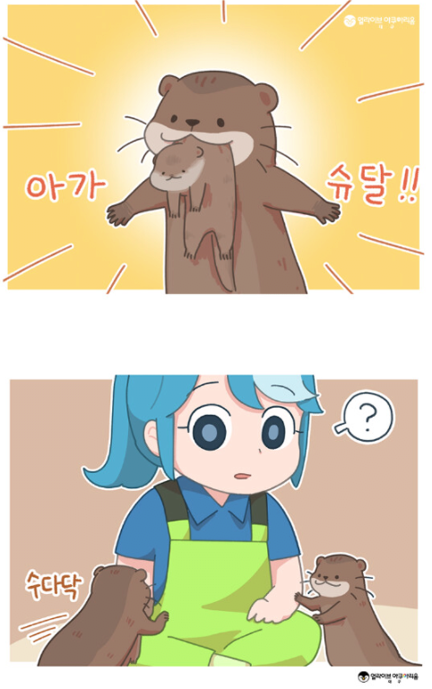아쿠아리움에서 일하는 사람이 알려주는 수달의 귀여움 | 인스티즈