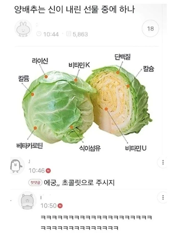 양배추는 신이 내린 선물 중 하나 | 인스티즈