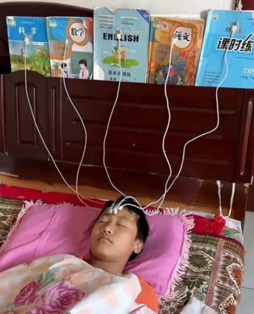 이제 공부할 필요 없음 | 인스티즈