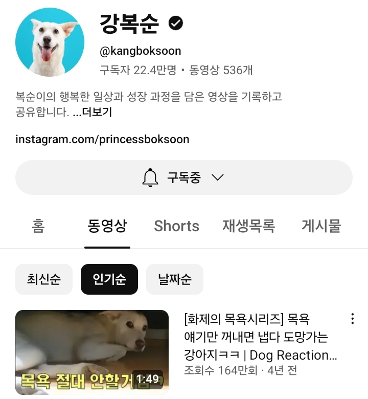 22만 유튜버 강복순 인성논란 | 인스티즈