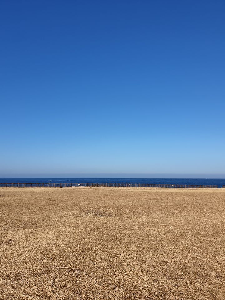 반년동안 제주도에 300만원 쓴 대학생의 제주 여행지 추천 | 인스티즈