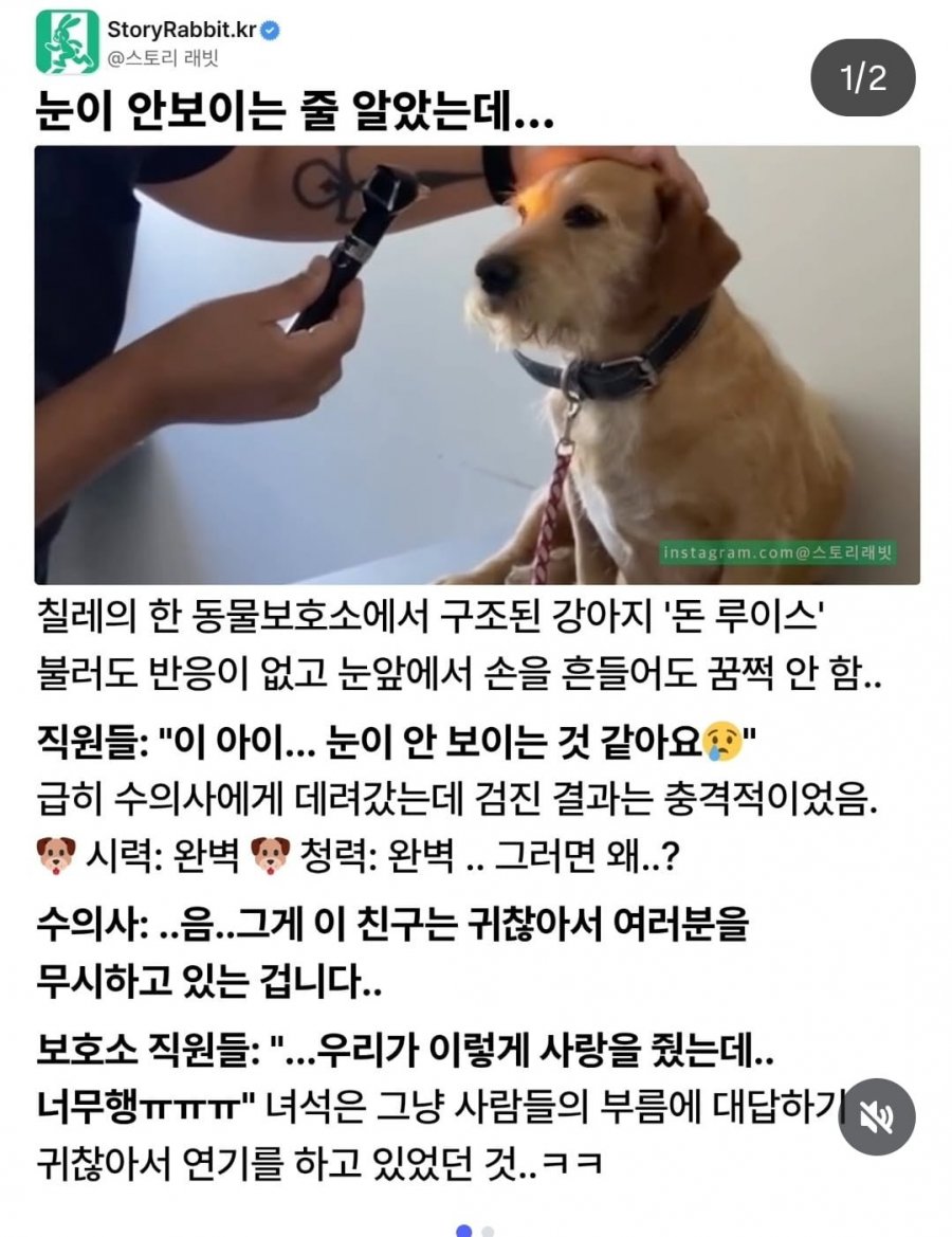 눈이 안보이는 줄 알았는데 | 인스티즈