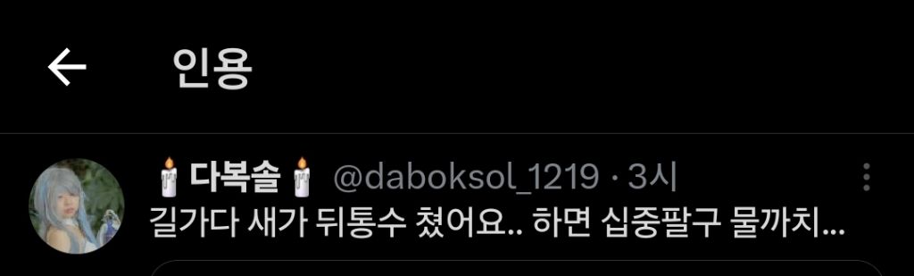길 가다 새가 뒤통수 쳤어요.. 하면 십중팔구 물까치.... twt | 인스티즈