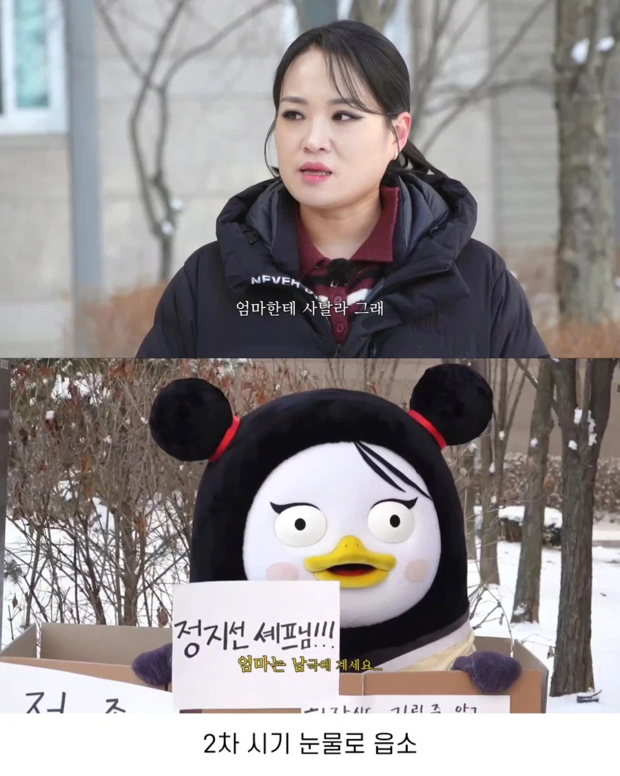 펭수가 대한민국에서 살아남은 이유 | 인스티즈