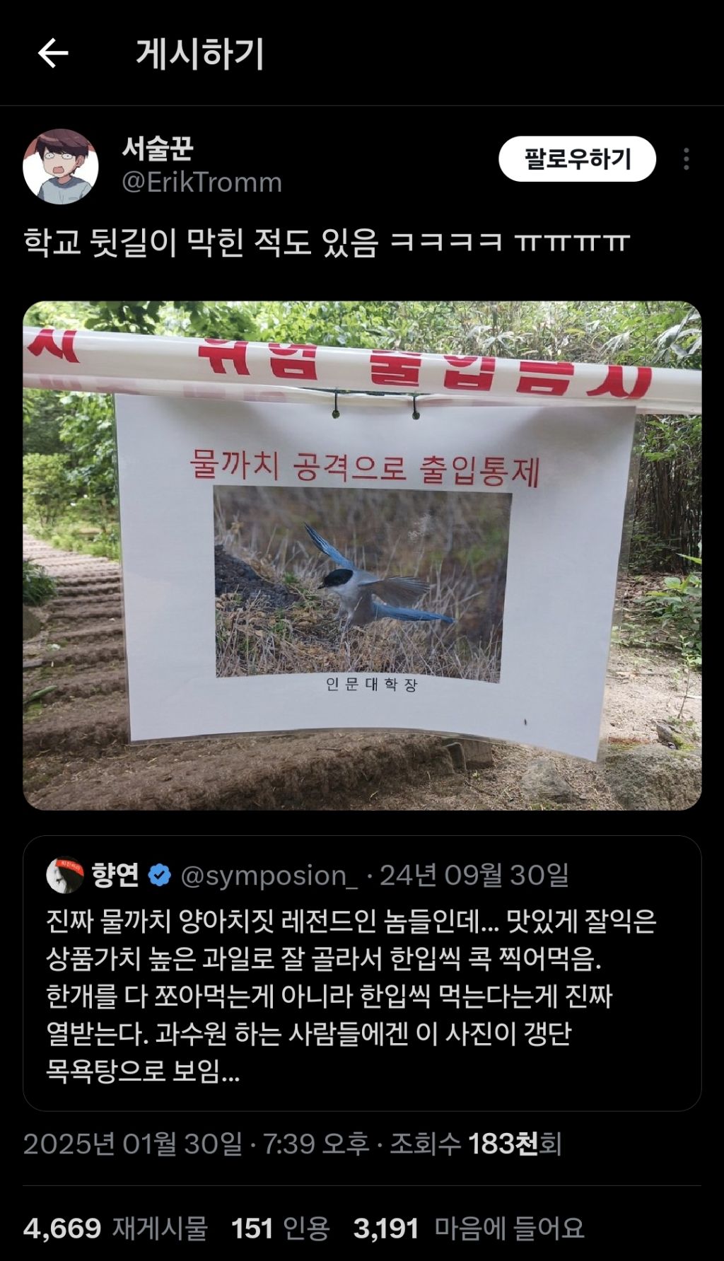 길 가다 새가 뒤통수 쳤어요.. 하면 십중팔구 물까치.... twt | 인스티즈