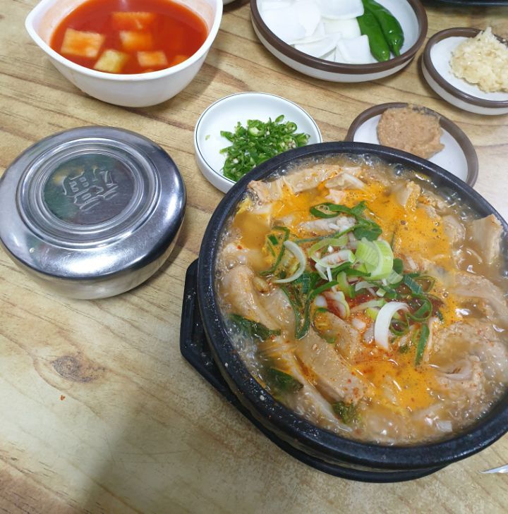 반년동안 제주도에 300만원 쓴 대학생의 제주 여행지 추천 | 인스티즈