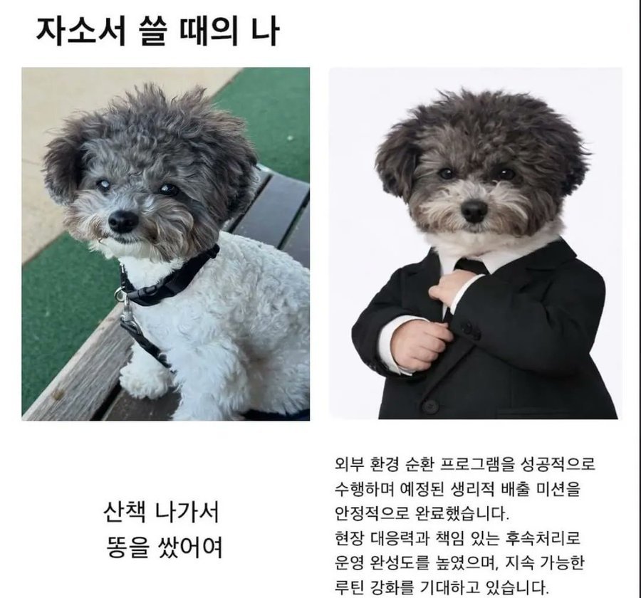 평소의 나 vs 자소서 쓸 때의 나 | 인스티즈