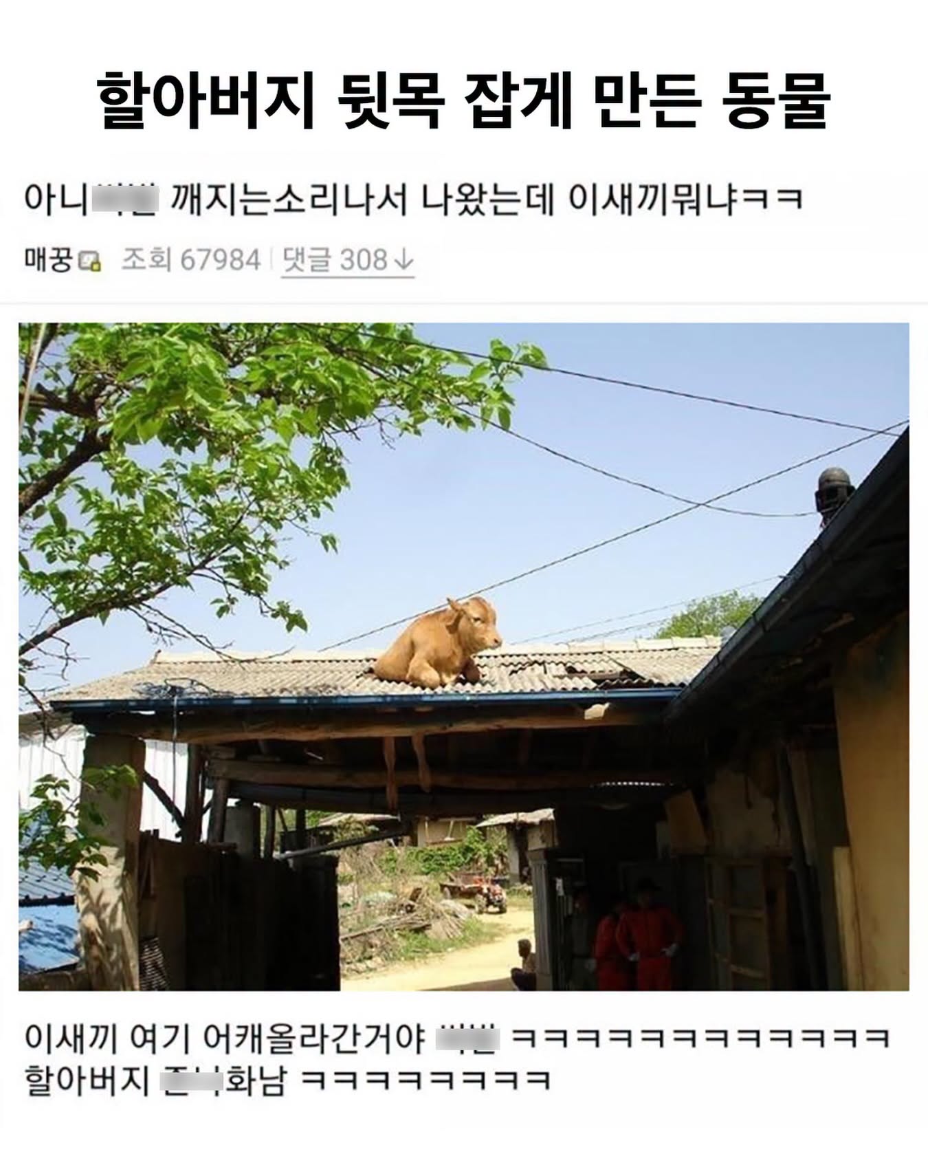 할아버지 목덜미 잡게 만든 동물…jpg | 인스티즈