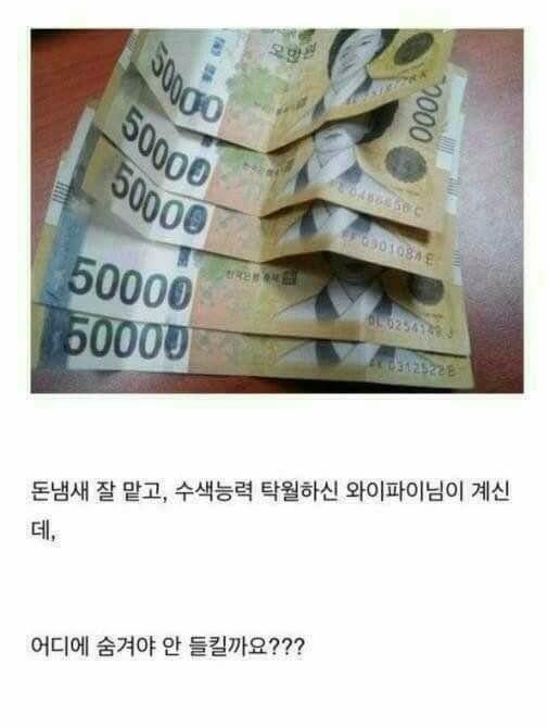비상금 절대 안 걸리는 곳 좀 알려주세요~ | 인스티즈