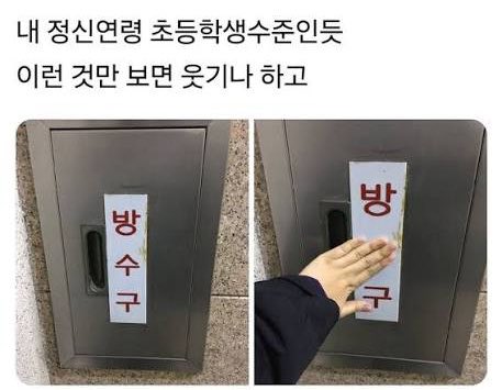 정신연령 감별사진 | 인스티즈