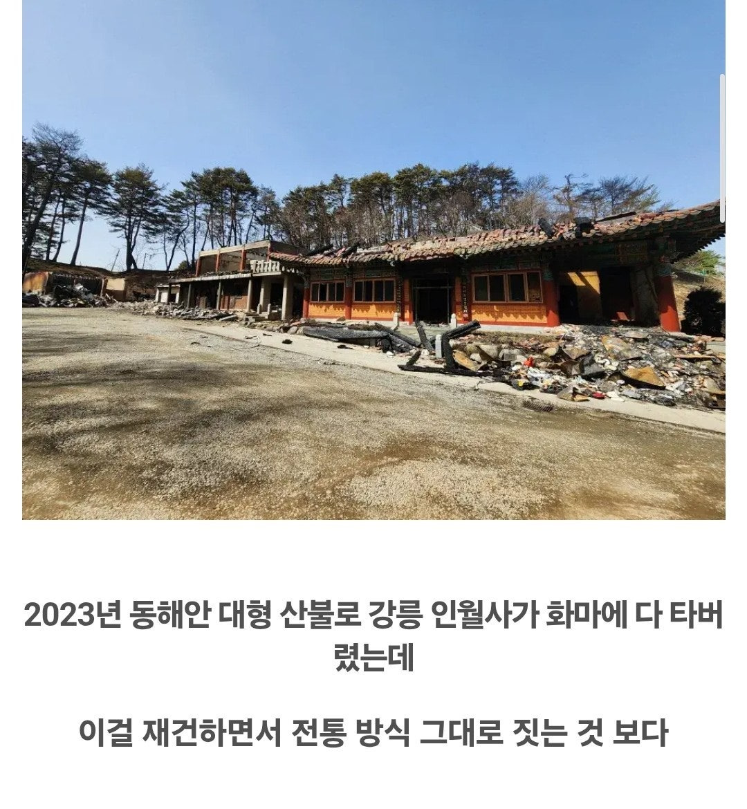 요즘 지어지는 절 근황 | 인스티즈