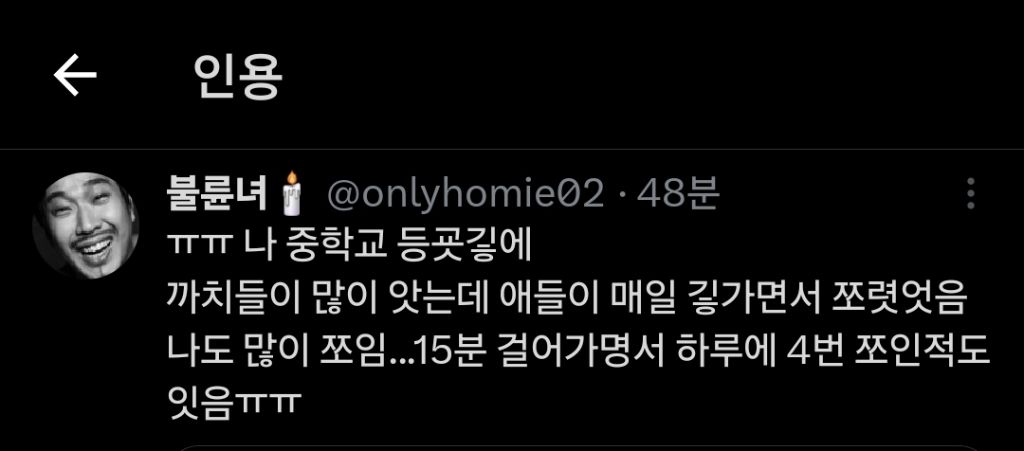 길 가다 새가 뒤통수 쳤어요.. 하면 십중팔구 물까치.... twt | 인스티즈