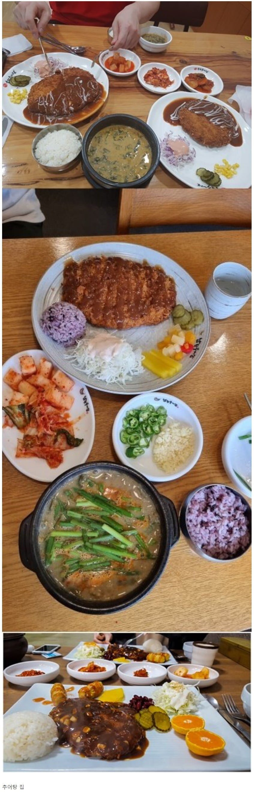 아는 사람만 아는 돈까스 맛집 | 인스티즈