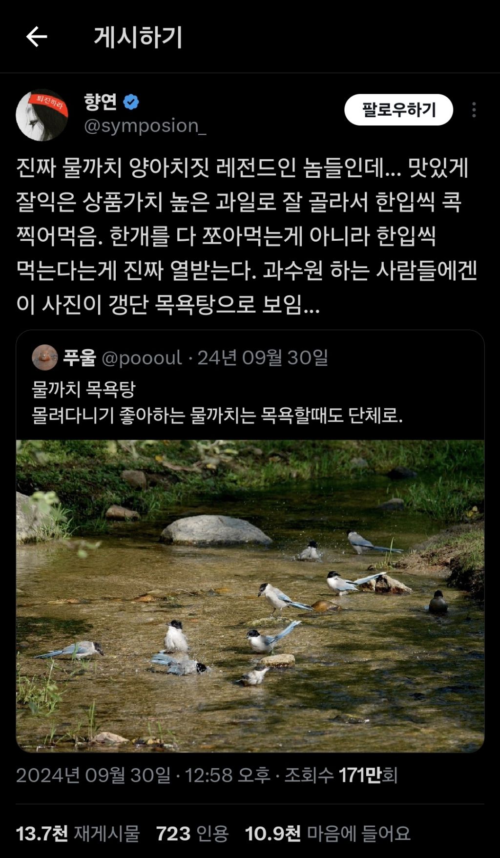길 가다 새가 뒤통수 쳤어요.. 하면 십중팔구 물까치.... twt | 인스티즈