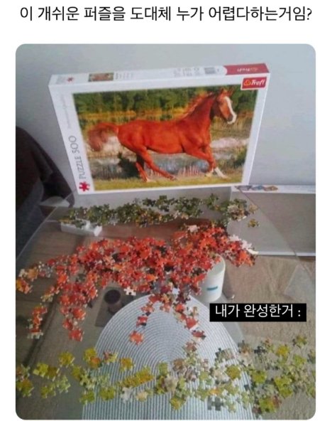 이 쉬운 퍼즐이 왜 어렵다는 거임? | 인스티즈