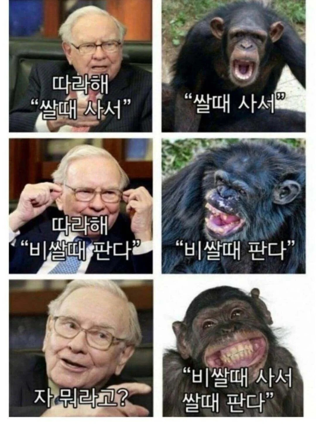 버핏이 말아주는 주식으로 돈 버는 법 | 인스티즈