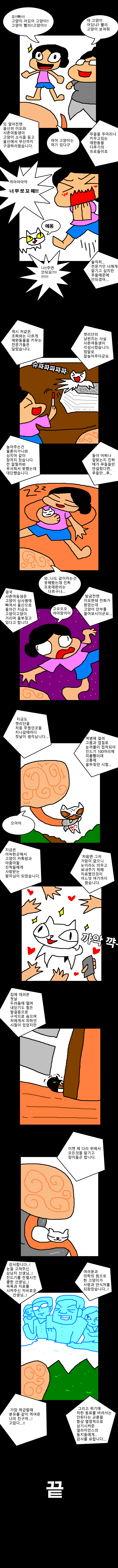  역병고양이를 주워서 휴재하는 만화 | 인스티즈