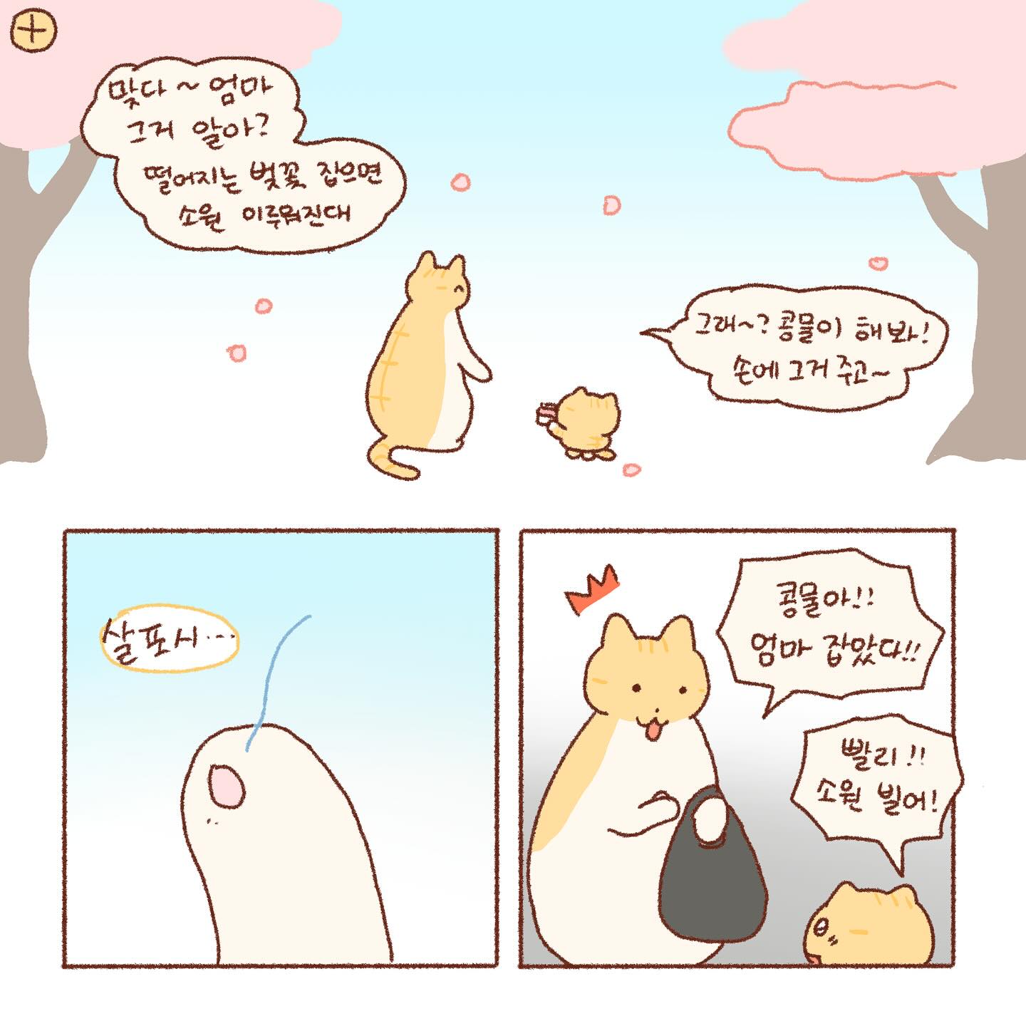 엄마가 웃는게 좋은 콩물이 | 인스티즈