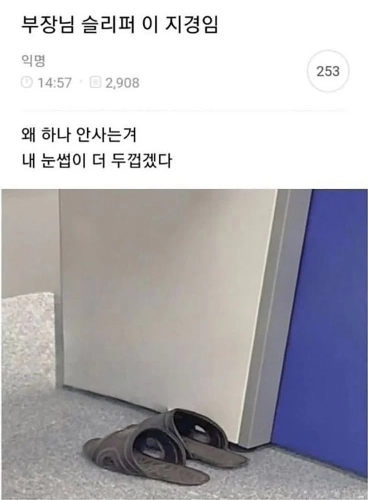 부장님 슬리퍼 이 지경임 | 인스티즈