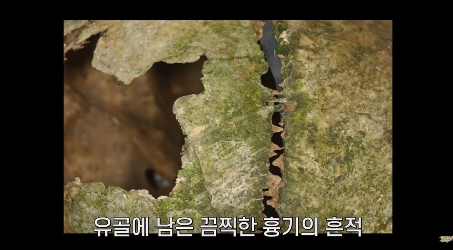 엄청 주도면밀하다는 개구리소년 범인 ㅎㅇㅈㅇ | 인스티즈