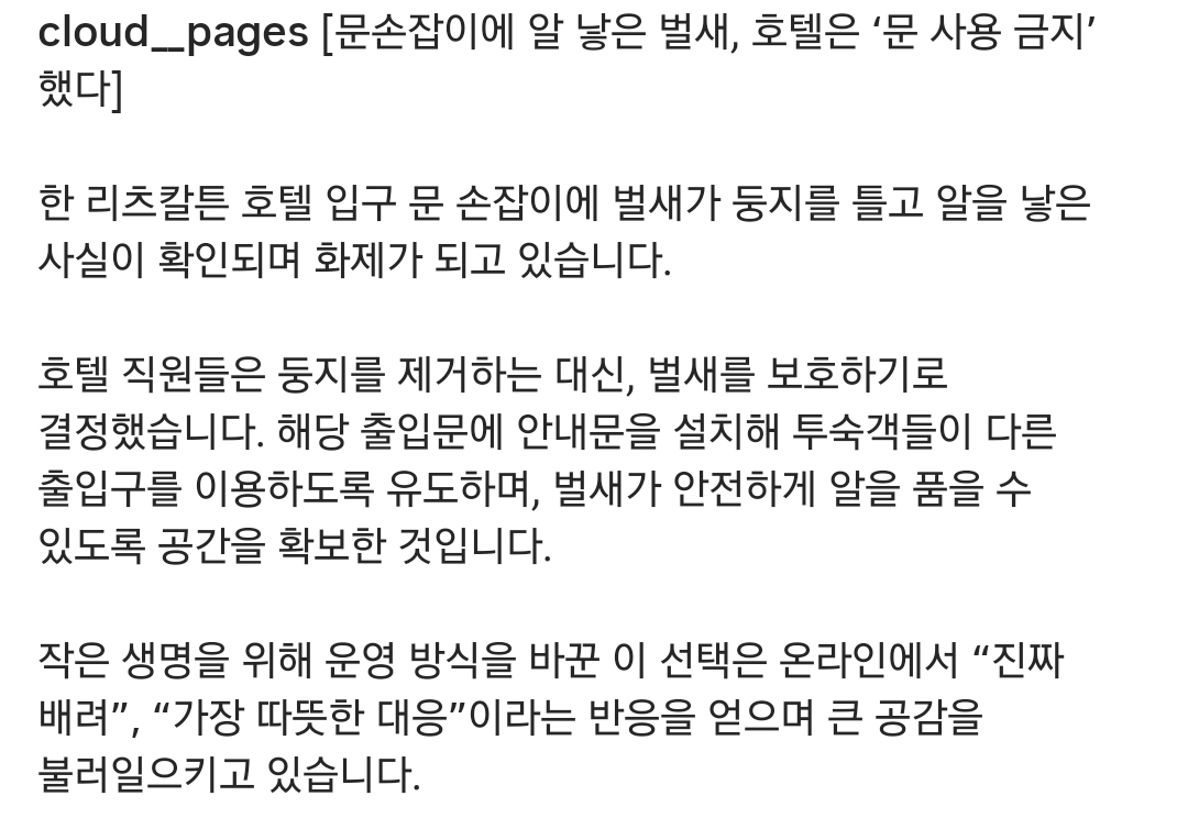 손잡이에 알 낳은 벌새 위해 문 사용 금지한 호텔 | 인스티즈