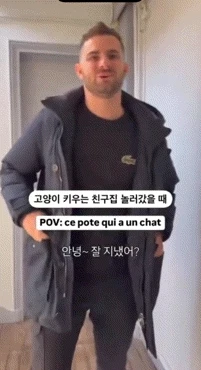 고양이 키우는 친구네 집 놀러갔을 때...gif | 인스티즈