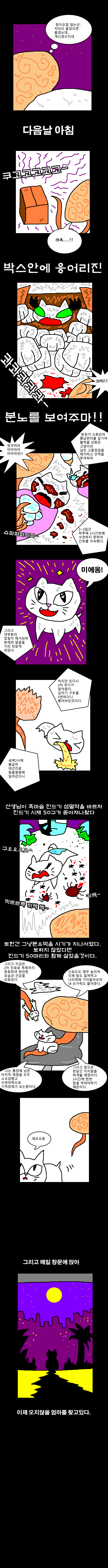  역병고양이를 주워서 휴재하는 만화 | 인스티즈