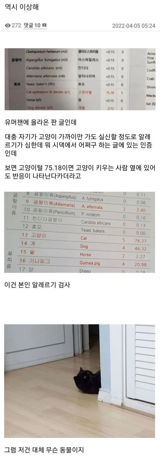 알레르기 검사 했는데 뭔가 이상하다 | 인스티즈