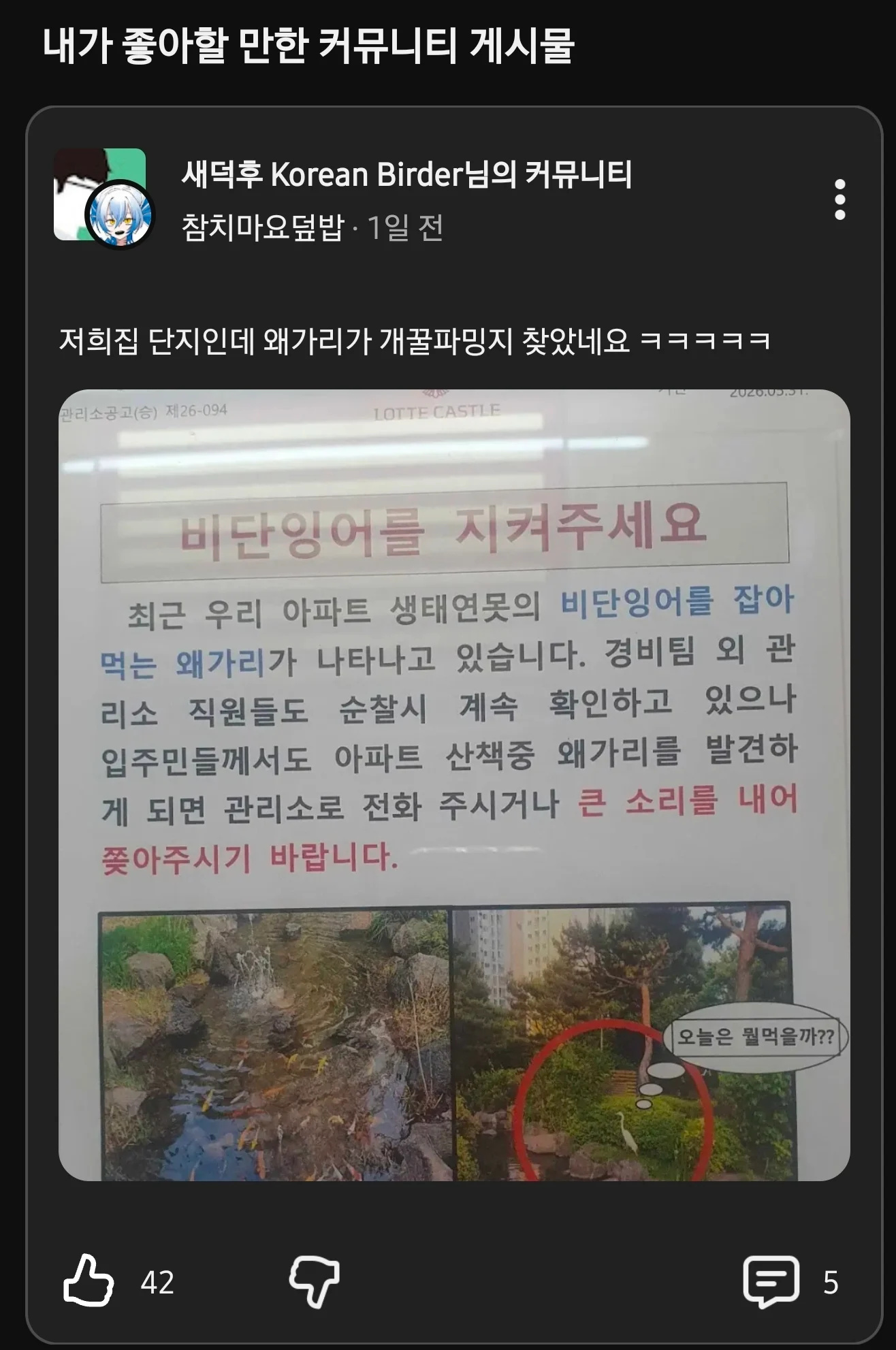 아파트 단지내 왜가리 근황 | 인스티즈