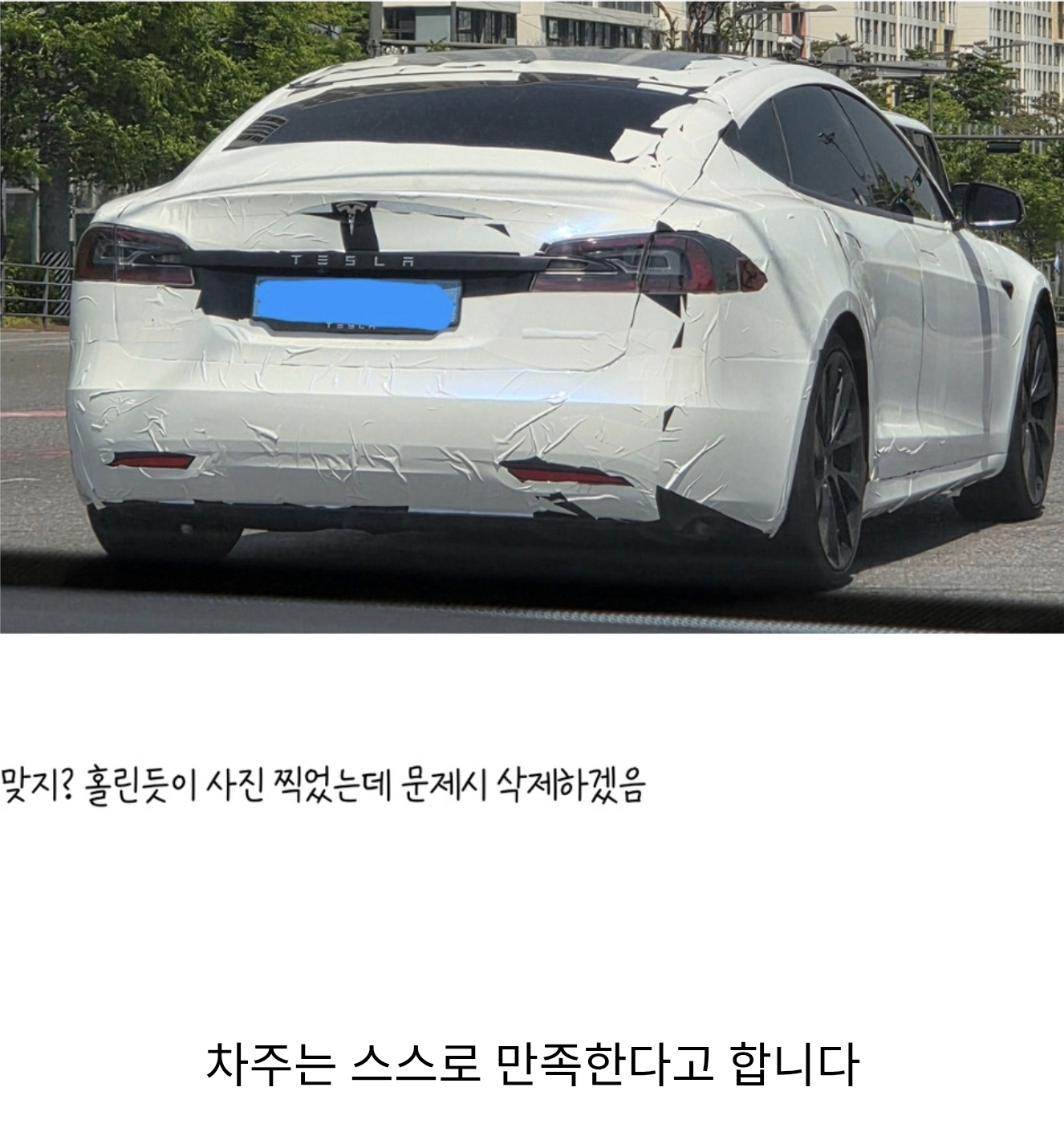셀프 랩핑 테슬라와 마주친 사람 | 인스티즈