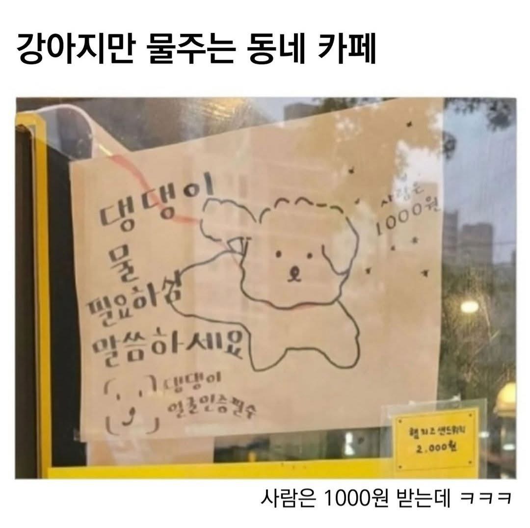 강아지만 물주는 어느카페 | 인스티즈