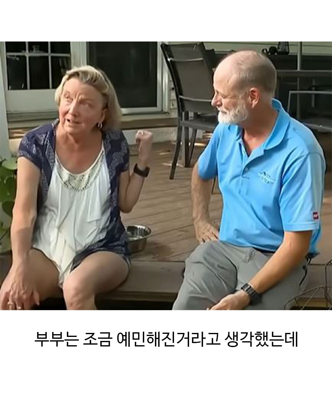 미용실 다녀온 후 표독해진 골든리트리버 | 인스티즈