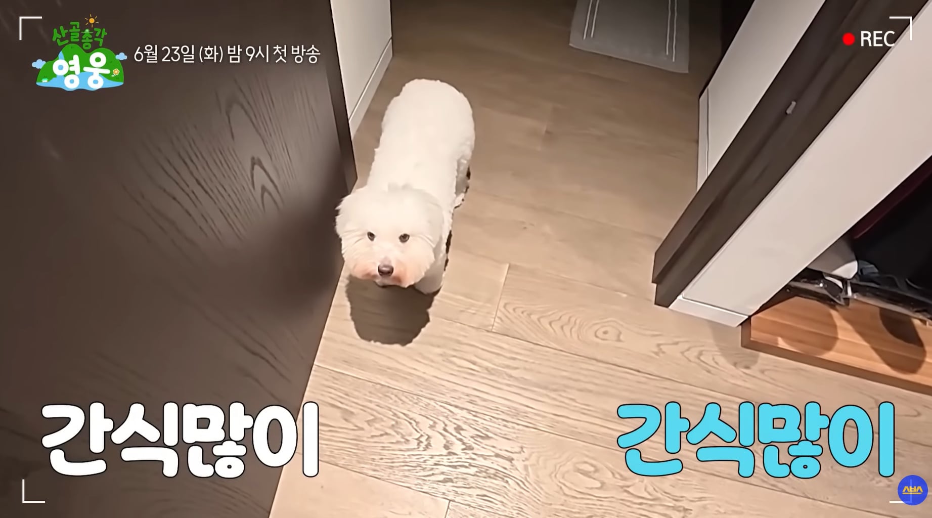 사람 사는거 다 똑같다는 임영웅 집 옷장.jpg | 인스티즈