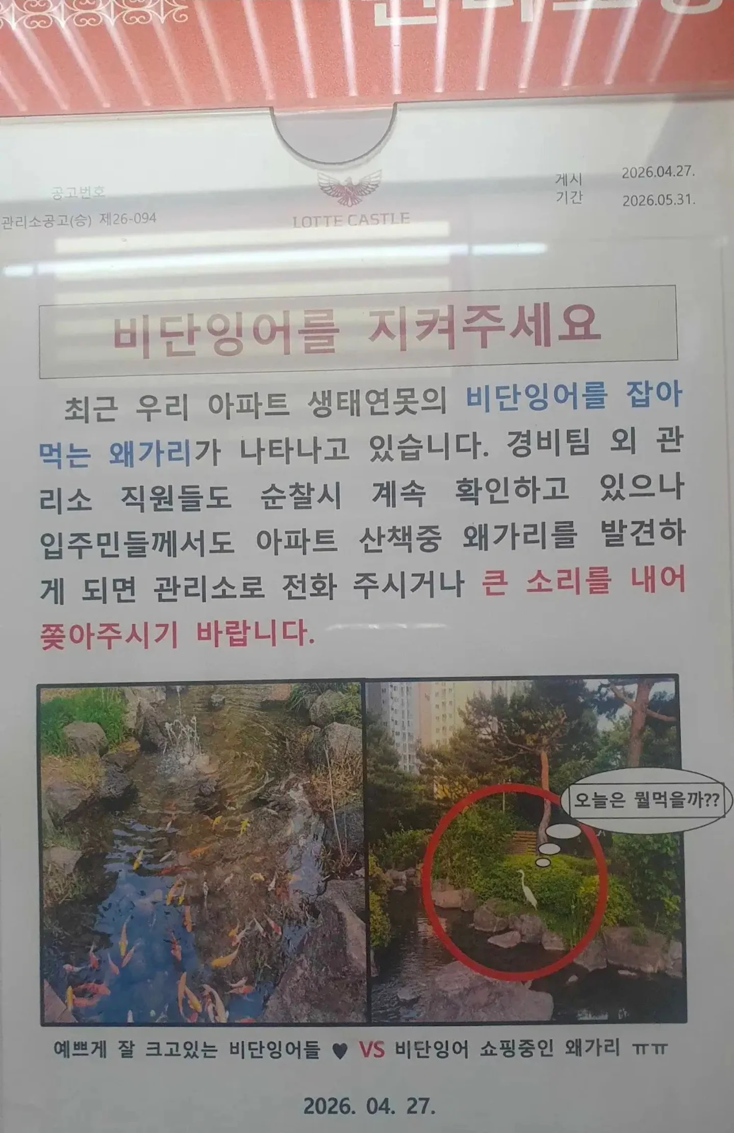 아파트 단지내 왜가리 근황 | 인스티즈