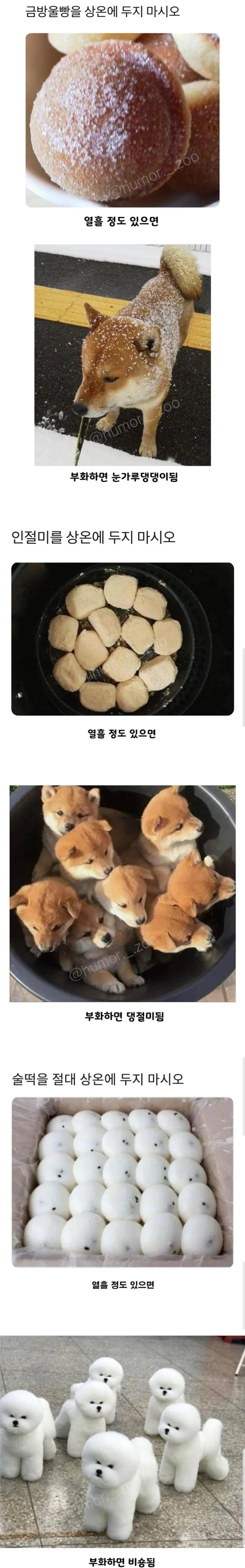 음식을 상온에 두면 안 되는 이유 | 인스티즈
